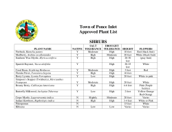 Town of Ponce Inlet Approved Plant List SHRUBS