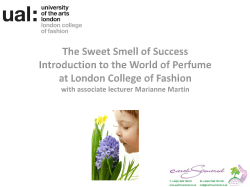The Sense of Smell