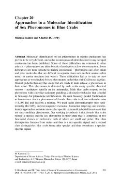 Approaches to a Molecular Identification of Sex Pheromones in Blue