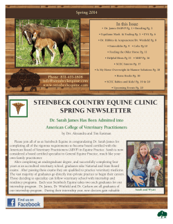- Steinbeck Country Equine Clinic