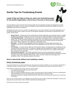 Gorilla Tips for Fundraising Events