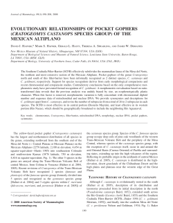 cratogeomys castanops species group