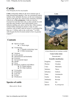 Cattle