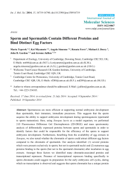 Sperm and Spermatids Contain Different Proteins and Bind Distinct