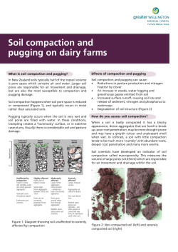 Soil compaction and pugging on dairy farms