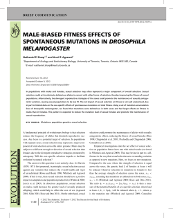 malebiased fitness effects of spontaneous mutations