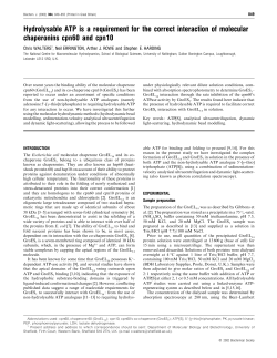 Hydrolysable ATP is a requirement for the correct interaction of