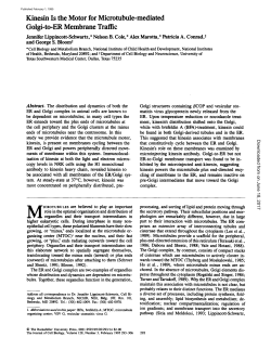 Kinesin Is the Motor for Microtubule-mediated Golgi-to