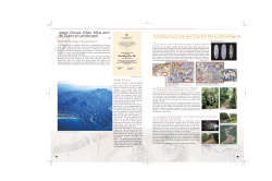 Iwami Ginzan Silver Mine and its Cultural Landscape