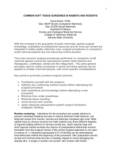 Common Soft Tissue Surgeries in Rabbits and Rodent