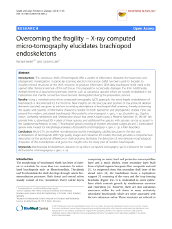 Overcoming the fragility - X-ray computed micro