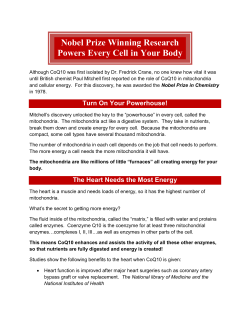 CoQ10 Powerhouse - The Health Guardian