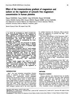 Effect of the Transmembrane Gradient of Magnesium and Sodium