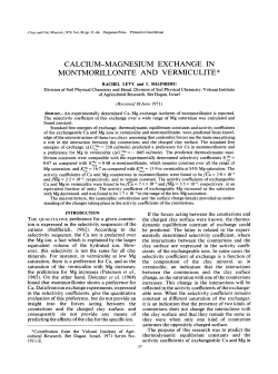 calcium-magnesium exchange in montmorillonite and vermiculite