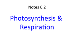 Notes 6.2