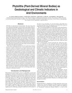 Phytoliths (Plant-Derived Mineral Bodies)
