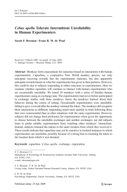 Cebus apella Tolerate Intermittent Unreliability in