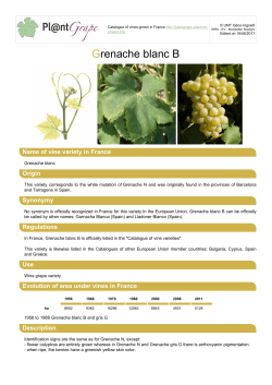 Export PDF - Pl@ntgrape