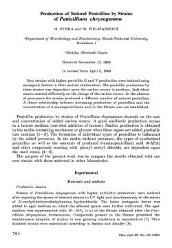 Production of Natural Penicillins by Strains of Penicillium