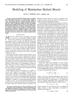 Modeling of Mammalian Skeletal Muscle - Research