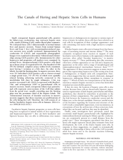 The canals of hering and hepatic stem cells in humans