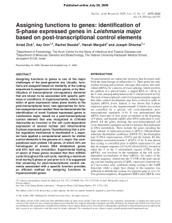 Assigning functions to genes: identification of S