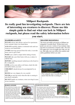 Rockpool Guide