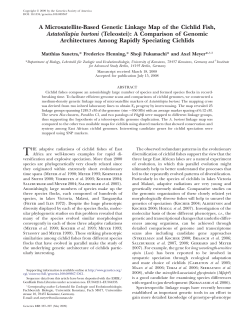 A Microsatellite-Based Genetic Linkage Map of the Cichlid Fish
