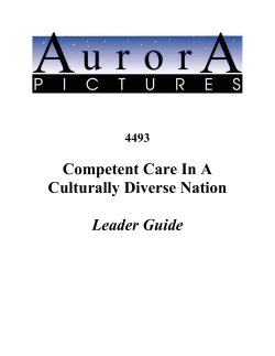 the Leader`s Guide