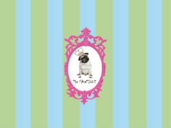 The Pawtique