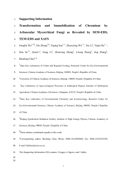 Supporting Information Transformation and Immobilization of