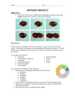 MITOSIS PROJECT