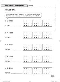 Polygons - Daneshill School