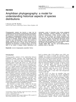 Amphibian phylogeography: a model for understanding