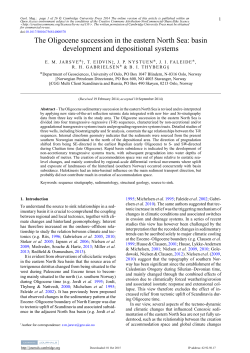 The Oligocene succession in the eastern North Sea: basin