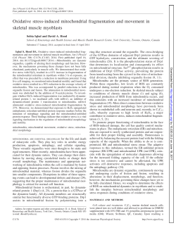 Oxidative stress-induced mitochondrial fragmentation and - AJP-Cell