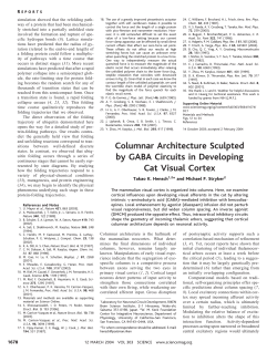 Columnar Architecture Sculpted by GABA Circuits in Developing Cat