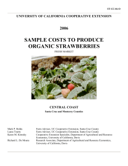 sample costs to produce organic strawberries