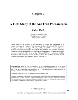 A Field Study of the Ant Trail Phenomenon