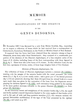 On the modifications of the sternum in Dinornis
