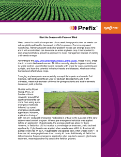 Untreated Treated with Prefix