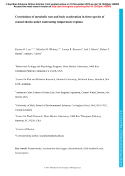 Correlations of metabolic rate and body acceleration in three