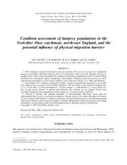 Condition assessment of lamprey populations in the Yorkshire Ouse