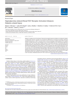 Hyperglycemia-induced Renal P2X7 Receptor Activation Enhances
