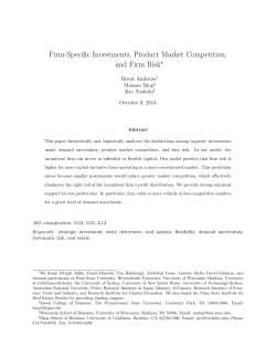 Firm-Specific Investments, Product Market Competition, and Firm Risk