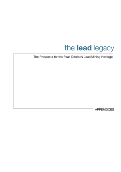 The Lead Rakes Project Report - Appendices