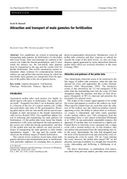 Russell SD 1996. Attraction and transport of male gametes for