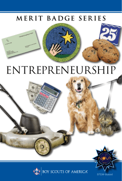 Entrepreneurship - Boy Scouts of America