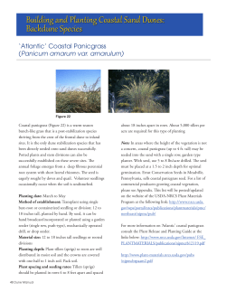 Building and Planting Coastal Sand Dunes