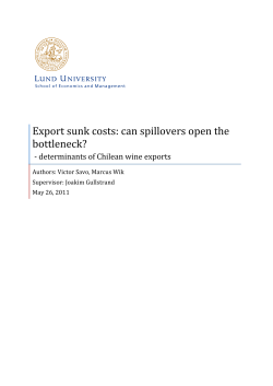 Export sunk costs: can spillovers open the bottleneck?